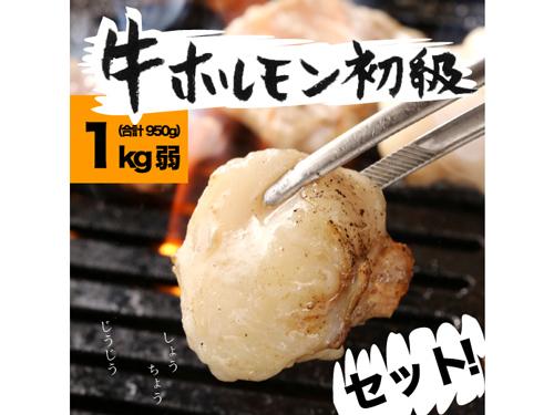 「牛ホルモン初級セット」